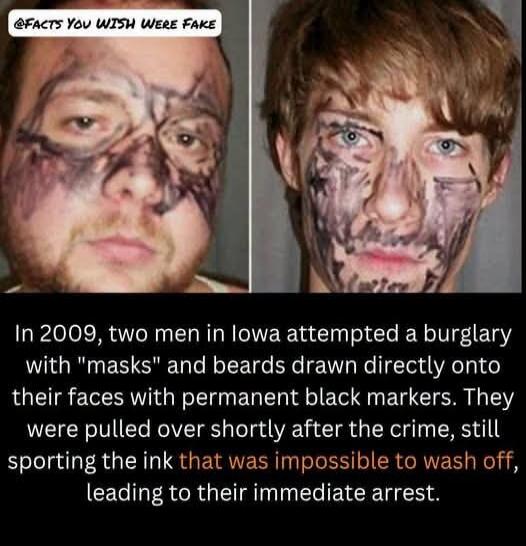 @FACTS YOU WISH WERE FAKE In 2009, two men in Iowa attempted a burglary with 