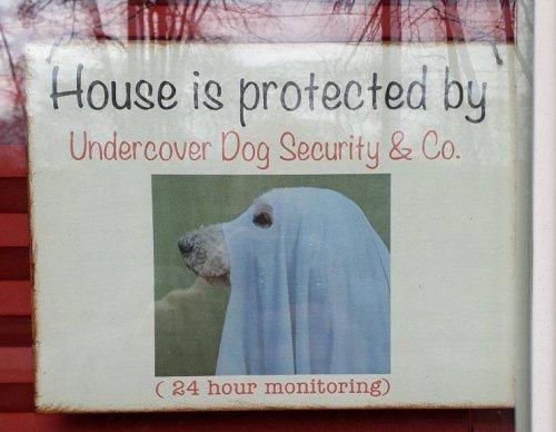 AT LR Houge ig protected by Undercover Dog Seeurity Co I 24 hour monitoring