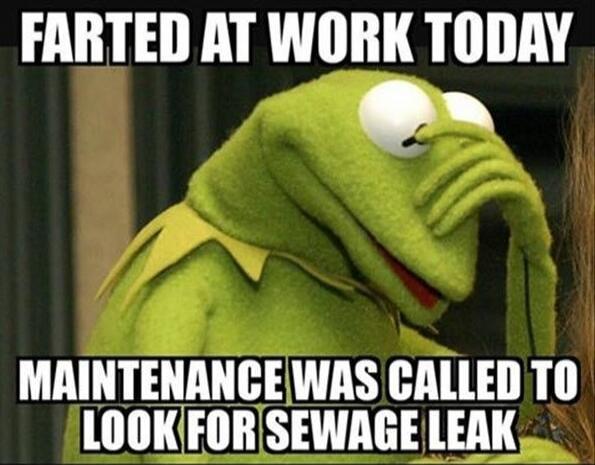 FARTED AT WORK TODAY MAINTENANCE WAS CALLED TO LOOK FOR SEWAGE LEAK
