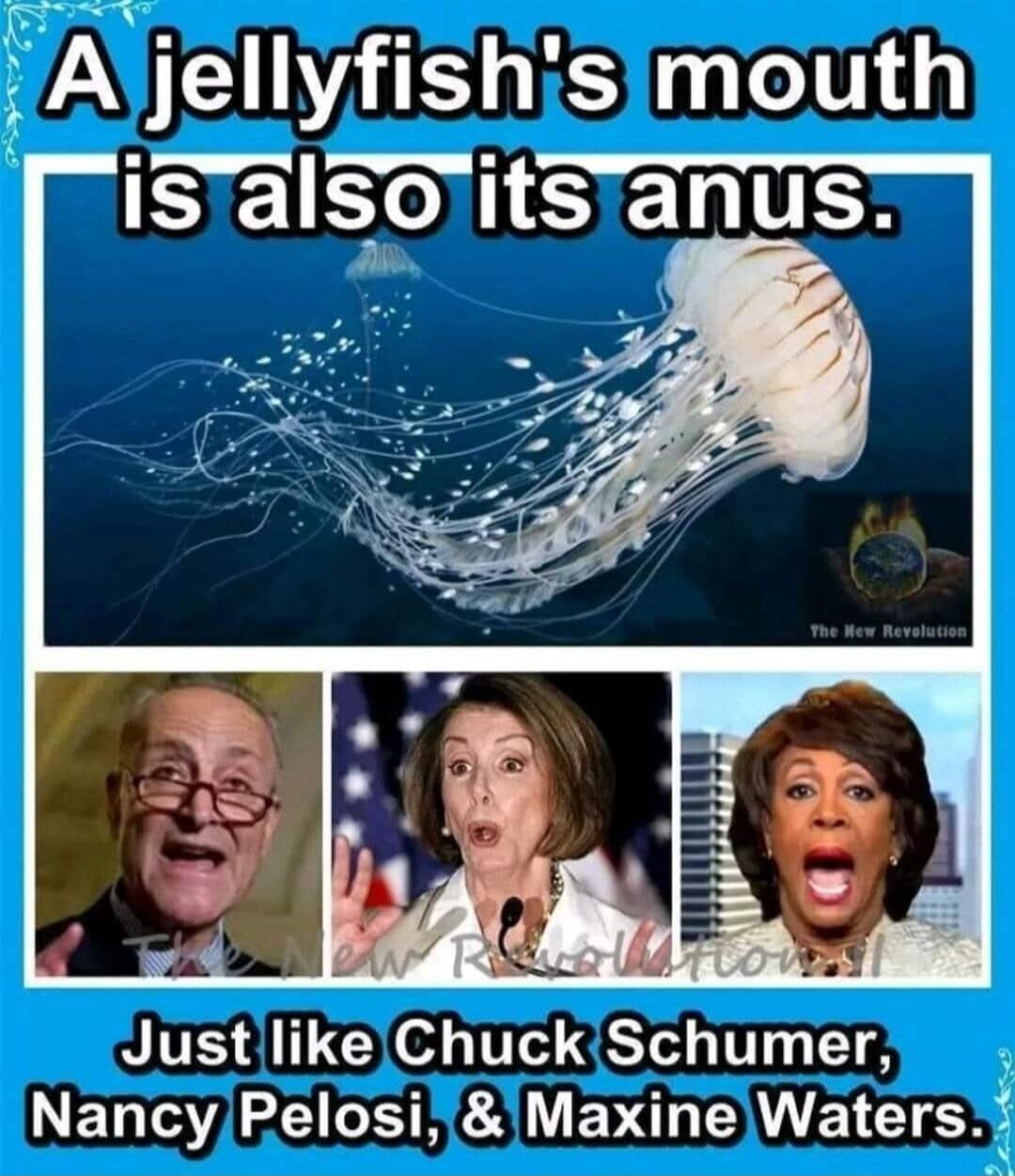 A jellyfish's mouth is also its anus. Just like Chuck Schumer, Nancy Pelosi, & Maxine Waters.