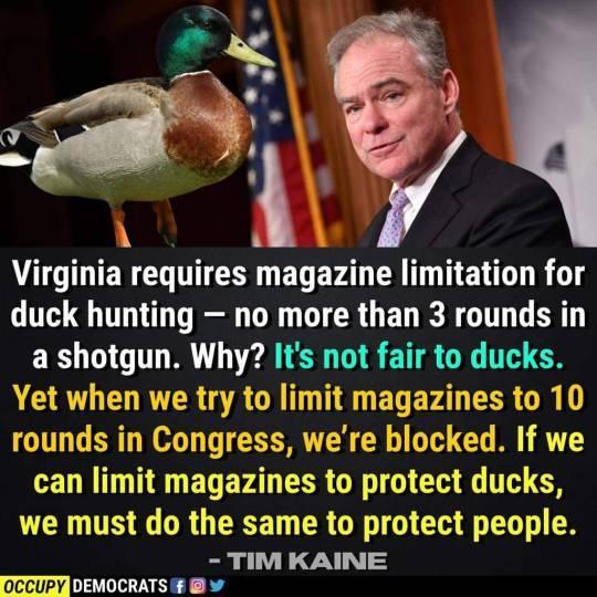 A TLER G T ELERAN R T TETO L R 1 duck hunting no more than 3 rounds in LT Its not fair to ducks rou g w L CEDN DT EERAD EERCR CM G T we must do the same to protect people TIM KAINE occupy DELINET L4