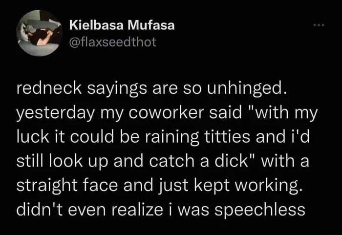 Kielbasa Mufasa flaxseedthot redneck sayings are so unhinged yesterday my coworker said with my luck it could be raining titties and id still look up and catch a dick with a straight face and just kept working didnt even realize i was speechless