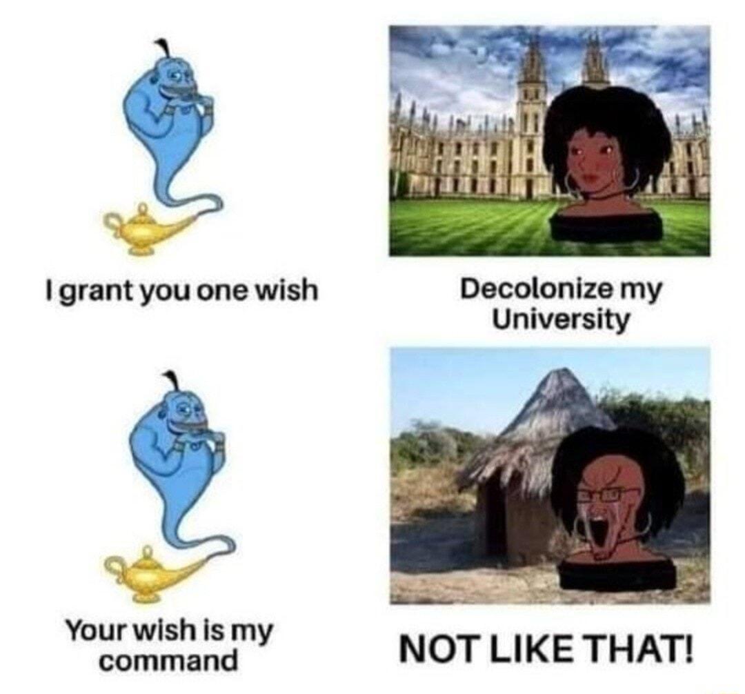 iz I grant you one wish Decolonize my University P YNy NOT LIKE THAT