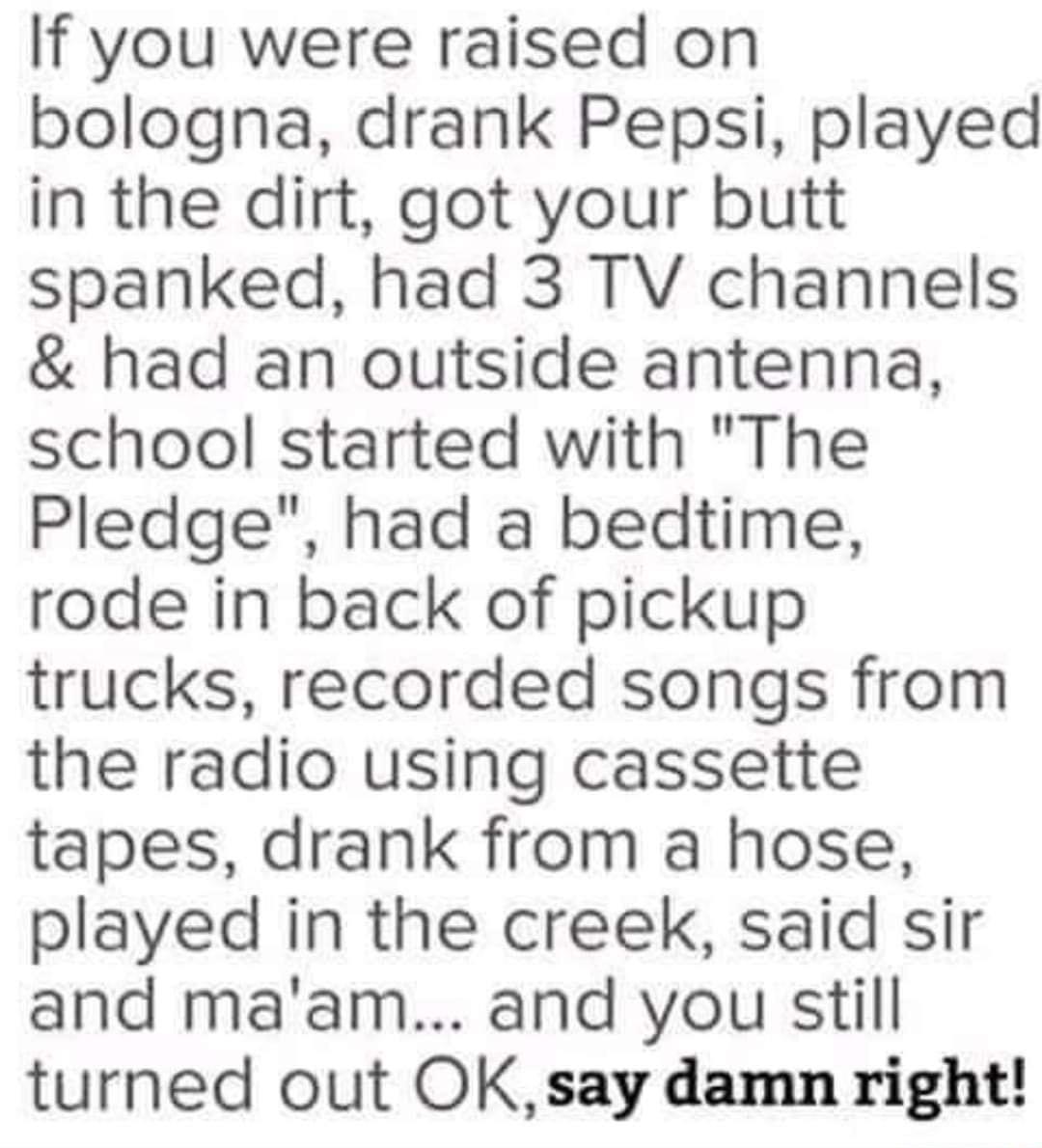 If you were raised on bologna drank Pepsi played in the dirt got your butt spanked had 3 TV channels had an outside antenna school started with The Pledge had a bedtime rode in back of pickup trucks recorded songs from the radio using cassette tapes drank from a hose played in the creek said sir and maam and you still turned out OKsay damn right