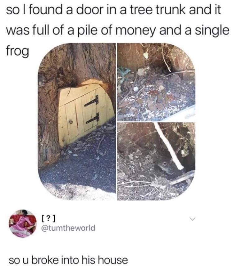 so found a door in a tree trunk and it was full of a pile of money and a single frog P 4 21 g tumtheworld so u broke into his house