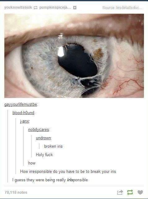 ssuik pumpkinspiceia K1 gayyourlfemustbe blood hund Eamx nobdycares undrown broken iris Holy fuck how How irrespansible do you have to be to break your iris 1 quess they were being really irisponsible 78118 not