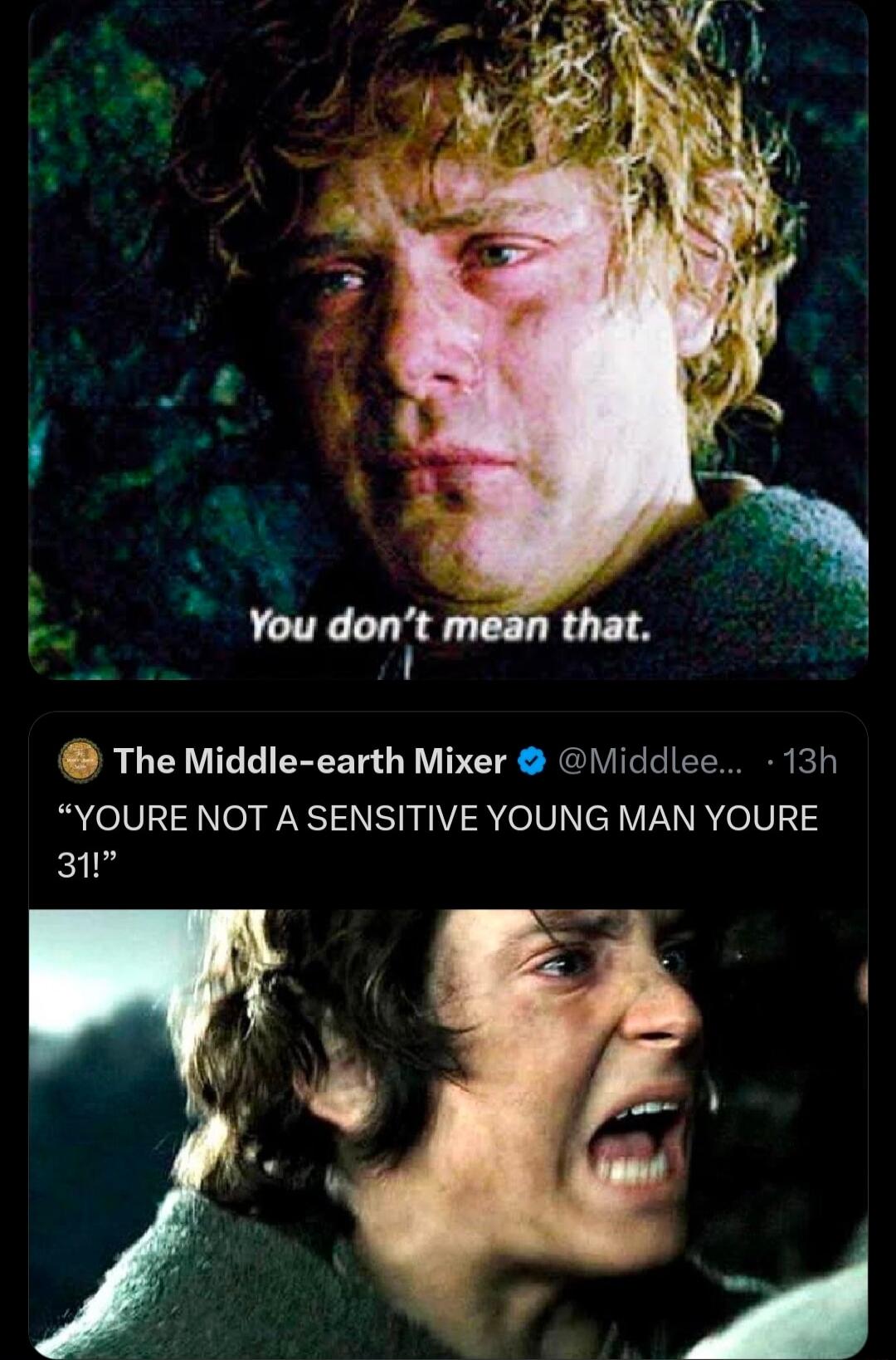 You don't mean that. The Middle-earth Mixer. YOURE NOT A SENSITIVE YOUNG MAN YOURE 31!
