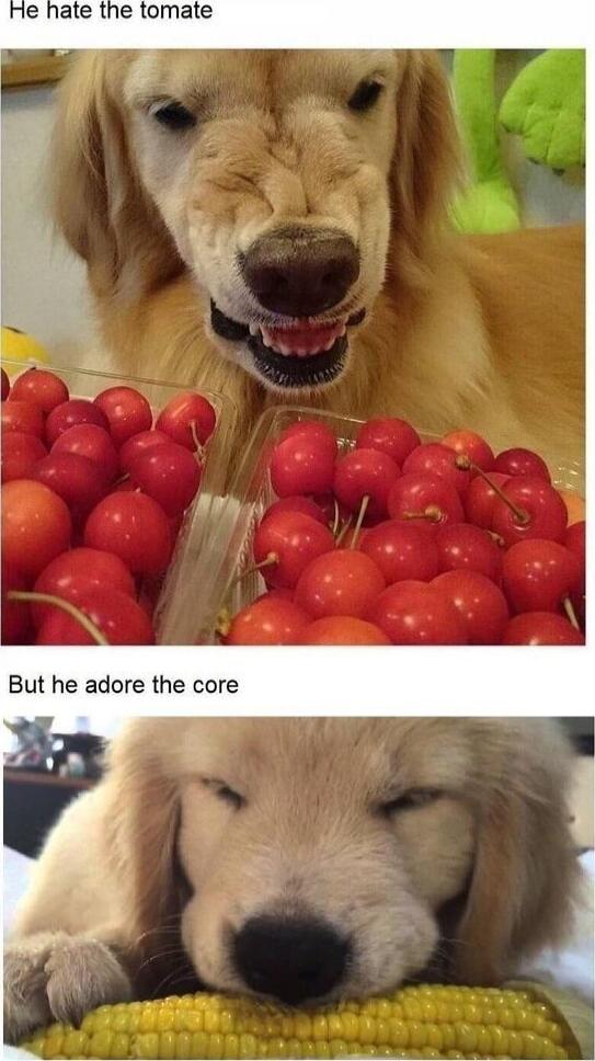 He hate the tomato
But he adore the core