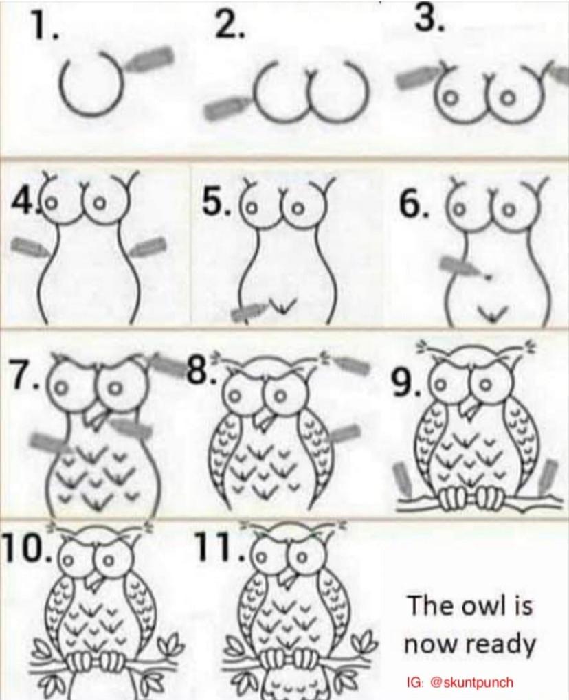1. 2. 3. 4. 5. 6. 7. 8. 9. 10. 11. The owl is now ready. IG: @skuntpunch
