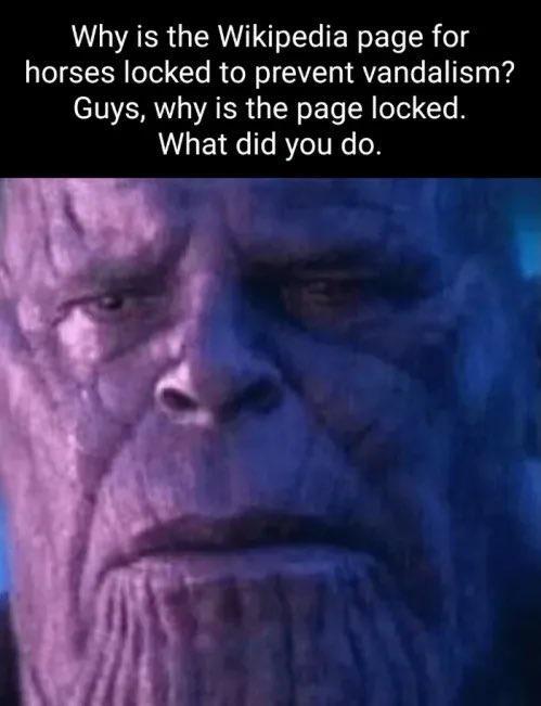 Why is the Wikipedia page for horses locked to prevent vandalism Guys why is the page locked What did you do