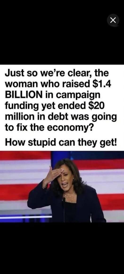 Just so we're clear, the woman who raised $1.4 BILLION in campaign funding yet ended $20 million in debt was going to fix the economy? How stupid can they get!