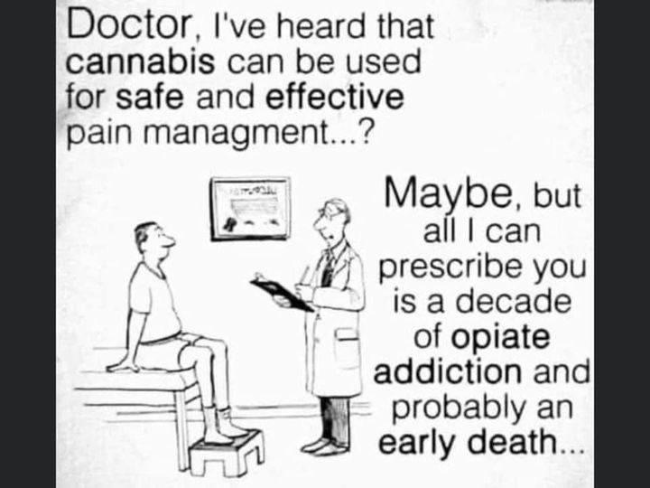 Doctor Ive heard that cannabis can be used for safe and effective pain managment Maybe but all can prescribe you is adecade of opiate addiction and probably an early death I