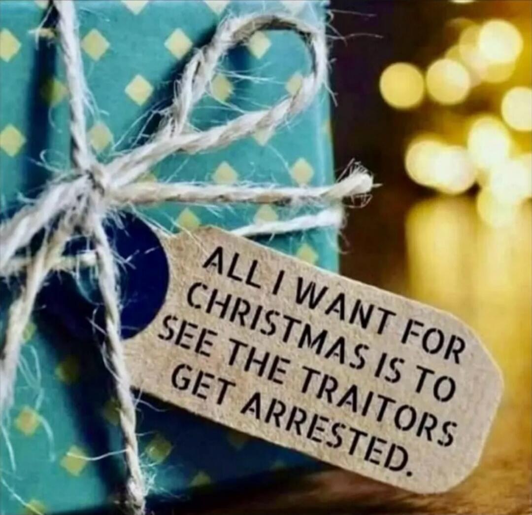 ALL I WANT FOR CHRISTMAS IS TO SEE THE TRAITORS GET ARRESTED.