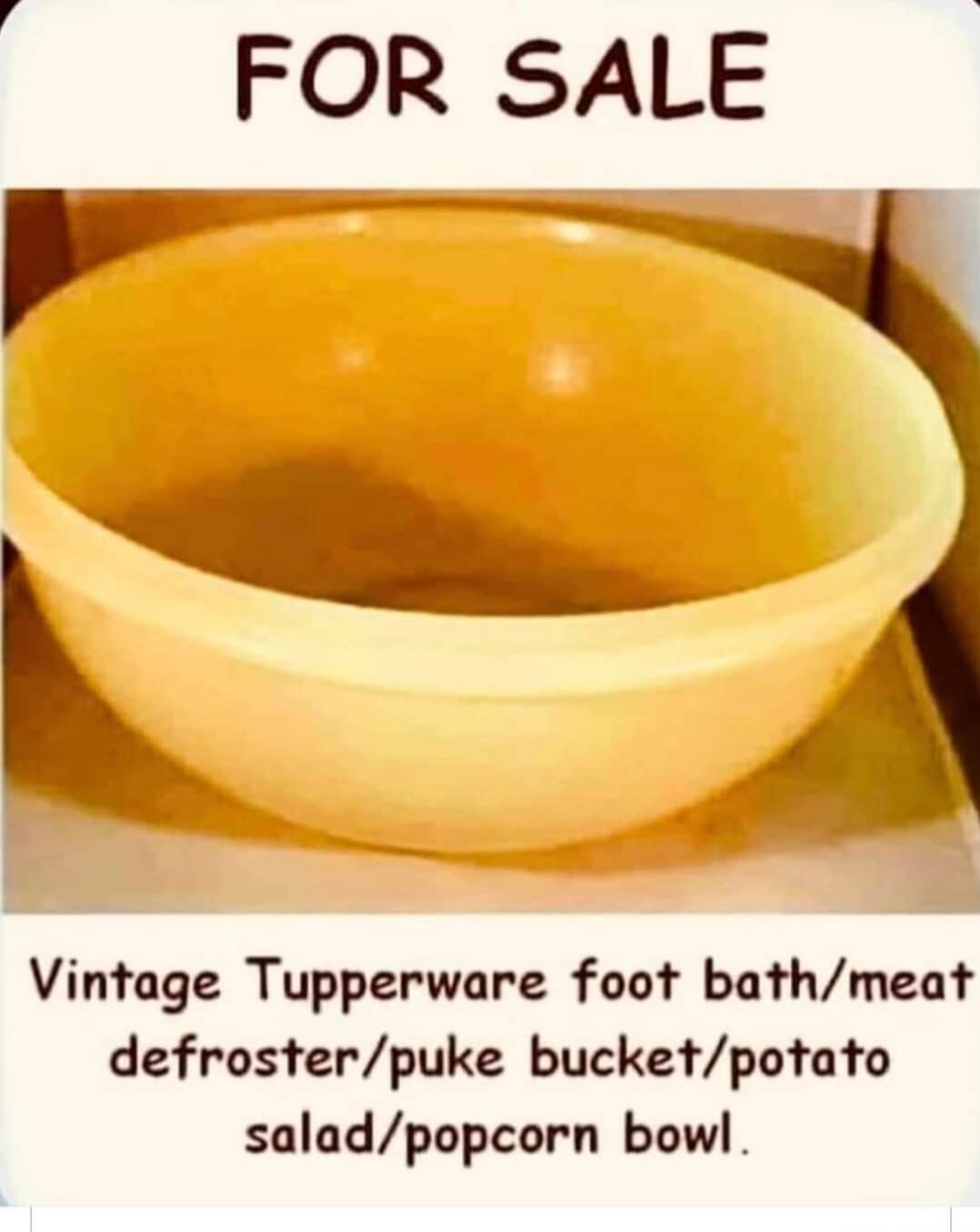 FOR SALE
Vintage Tupperware foot bath/meat defroster/puke bucket/potato salad/popcorn bowl.