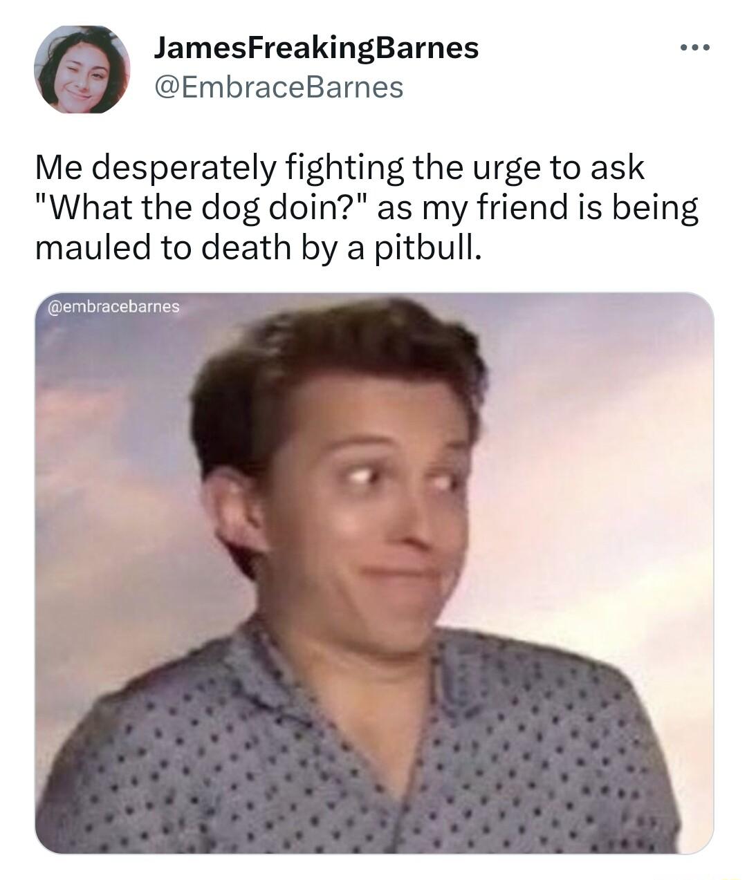 JamesFreakingBarnes EmbraceBarnes Me desperately fighting the urge to ask What the dog doin as my friend is being mauled to death by a pitbull embracebarnes