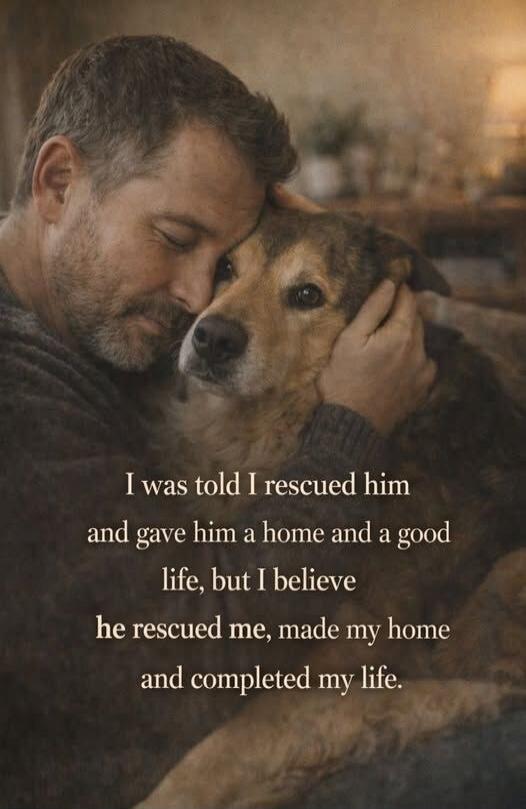 I was told I rescued him and gave him a home and a good life, but I believe he rescued me, made my home and completed my life.