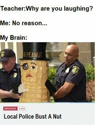 TeacherWhy are you laughing Me No reason My Brain 1 W 1 Local Police Bust A Nut