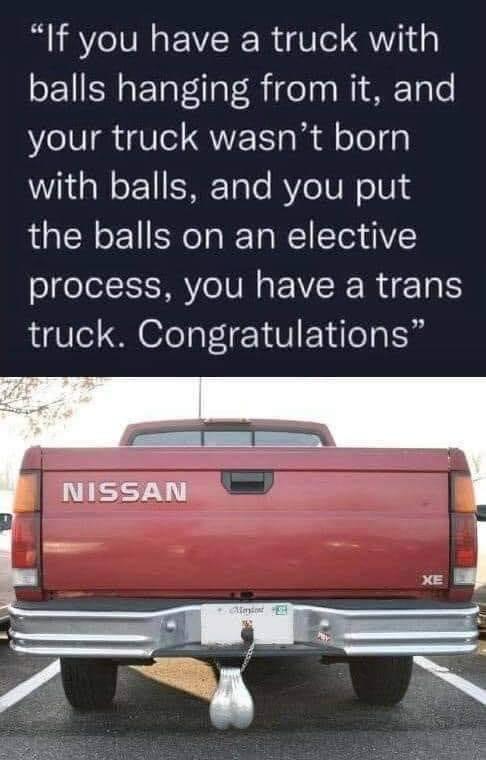 If you have a truck with SEYISNaETa et la TR o Wi MTale your truck wasnt born Wi a N o 1 I SETale BV e N o1V the balls on an elective process you have a trans truck Congratulations