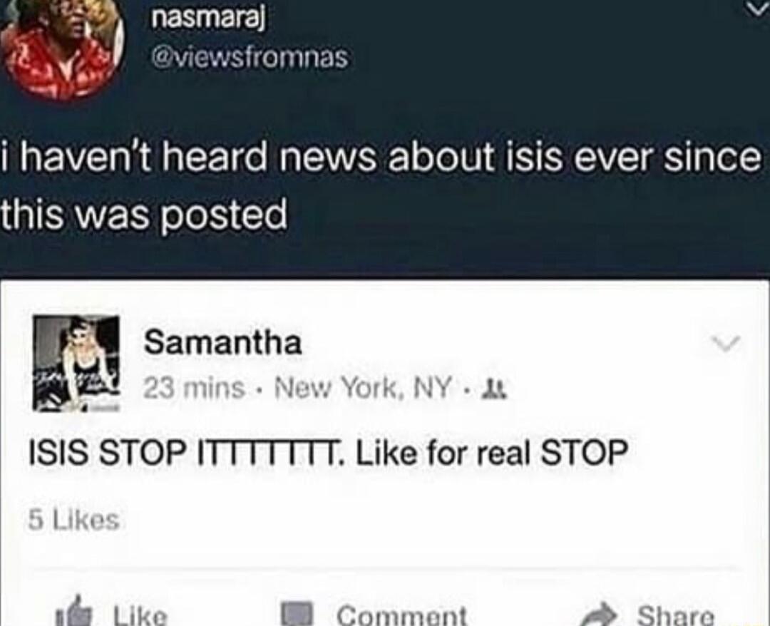 i havent heard news about isis ever since GISAERY ook Lo 8 Samantha ISIS STOP Like for real STOP