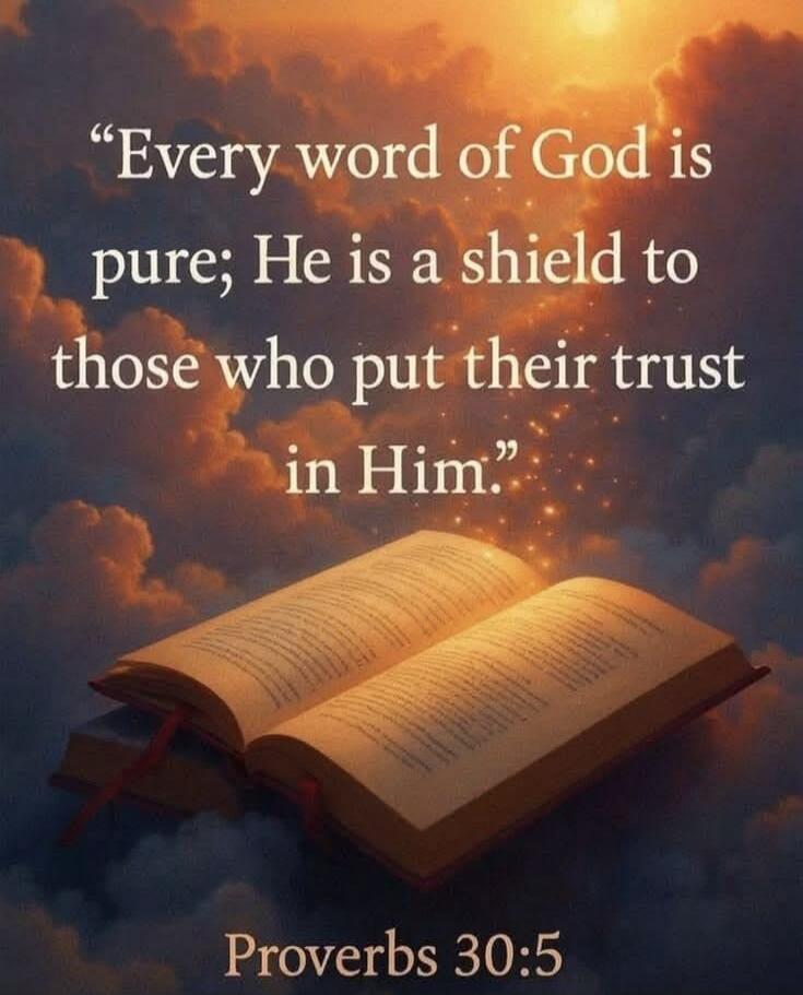 Every word of God is pure; He is a shield to those who put their trust in Him. Proverbs 30:5