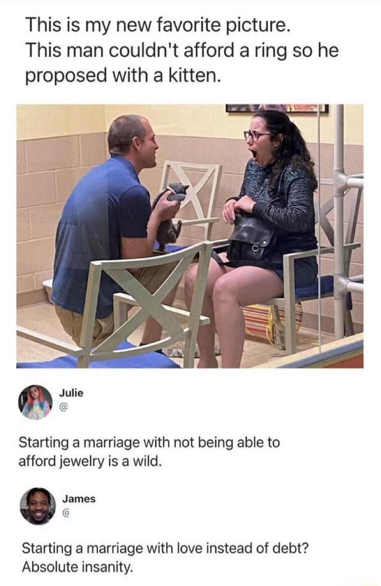 This is my new favorite picture. This man couldn't afford a ring so he proposed with a kitten. Julie: Starting a marriage with not being able to afford jewelry is a wild. James: Starting a marriage with love instead of debt? Absolute insanity.