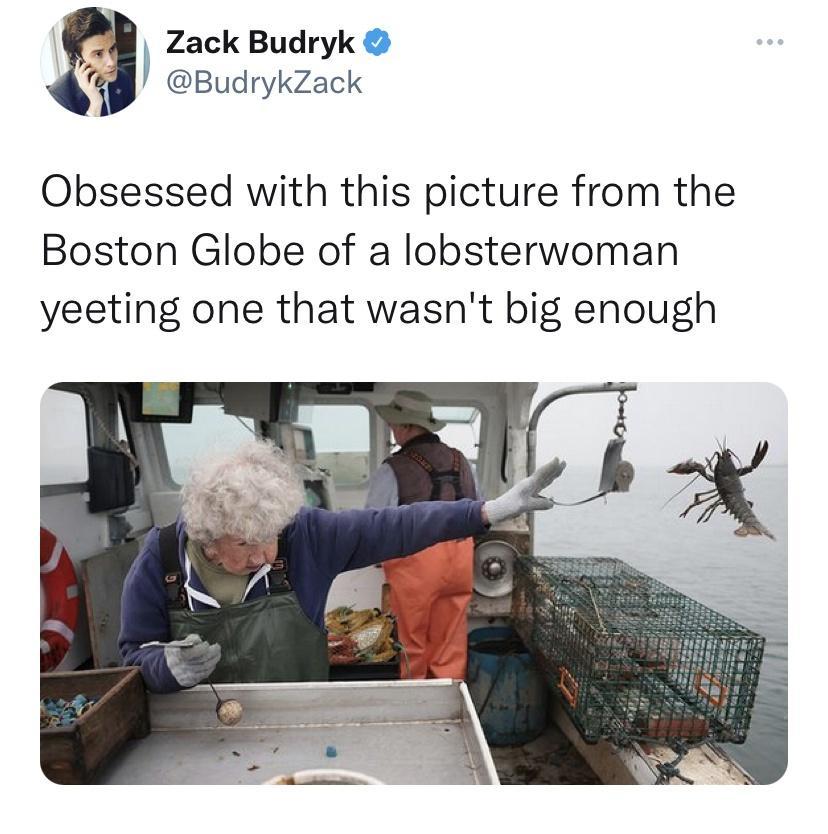 Zack Budryk 48 BudrykZack Obsessed with this picture from the Boston Globe of a lobsterwoman yeeting one that wasnt big enough