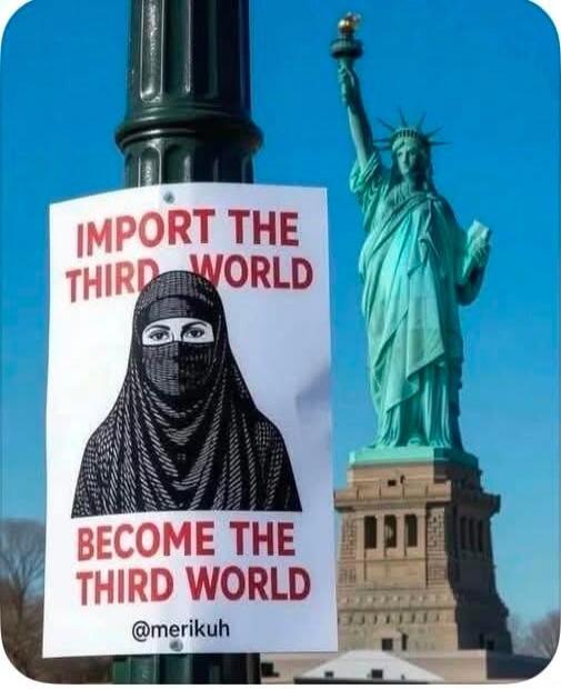 IMPORT THE THIRD WORLD BECOME THE THIRD WORLD @merikuh