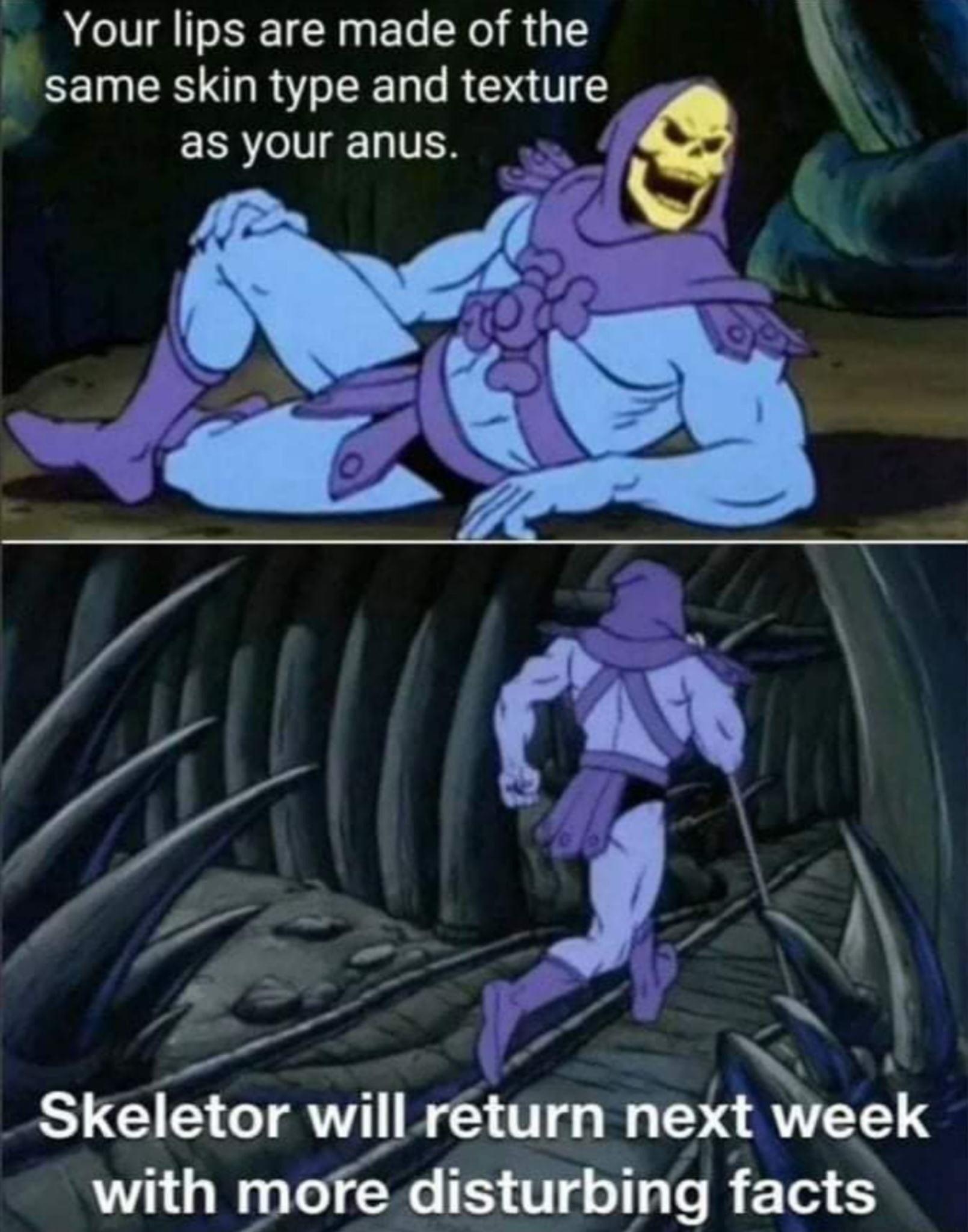 _ Your lips are made of the same skin type and texture as your anus f V T N N m Skeletor will return next week with more disturbing facts