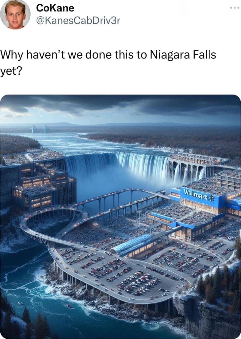 CoKane KanesCabDriv3r Why havent we done this to Niagara Falls