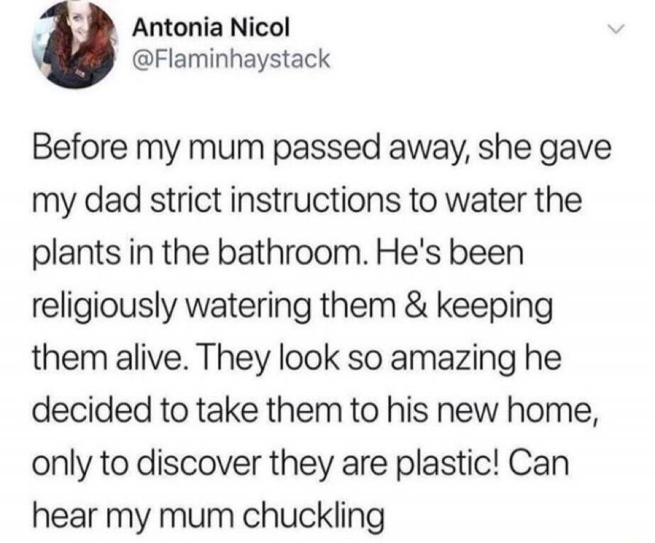 Before my mum passed away, she gave my dad strict instructions to water the plants in the bathroom. He's been religiously watering them & keeping them alive. They look so amazing he decided to take them to his new home, only to discover they are plastic! Can hear my mum chuckling