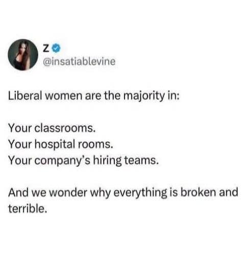 Z @insatiablevine Liberal women are the majority in: Your classrooms. Your hospital rooms. Your company's hiring teams. And we wonder why everything is broken and terrible.