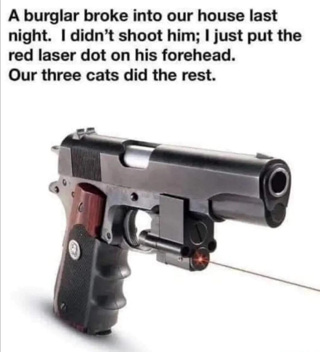 A burglar broke into our house last night. I didn't shoot him; I just put the red laser dot on his forehead. Our three cats did the rest.