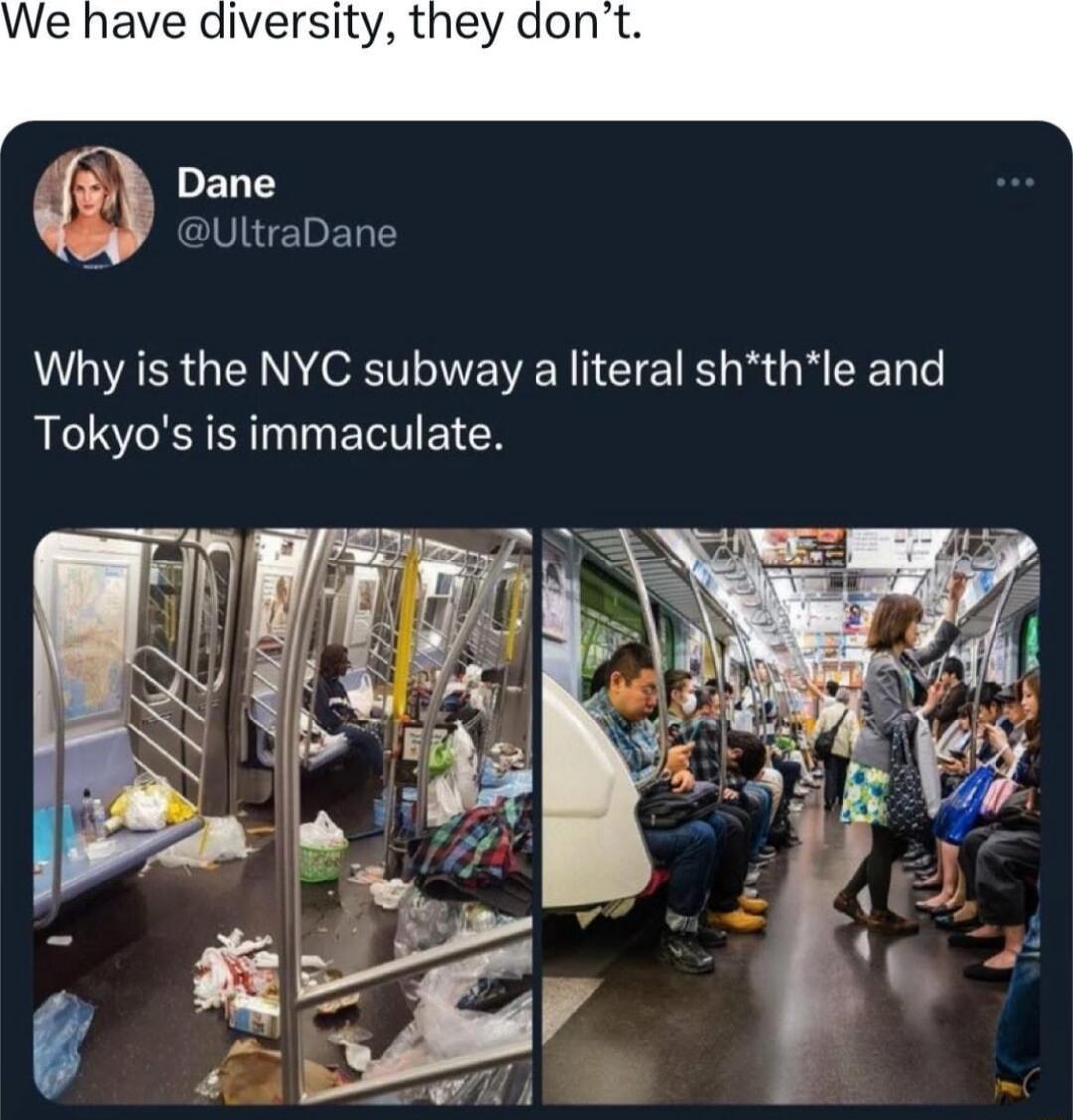 We have diversity they t L Gl E Why is the NYC subway a literal shthle and Tokyos is immaculate