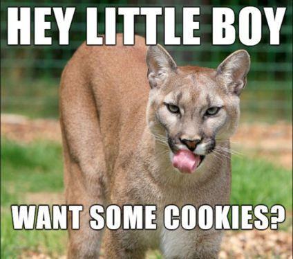 HEY LITTLE BIIY ii 5 sa f BVCE pow W o WANTSOME COOKIESD LT T