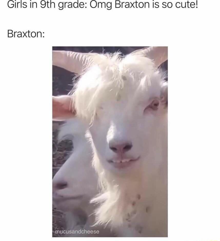 Girls In 9th grade Omg Braxton is so cute Braxton