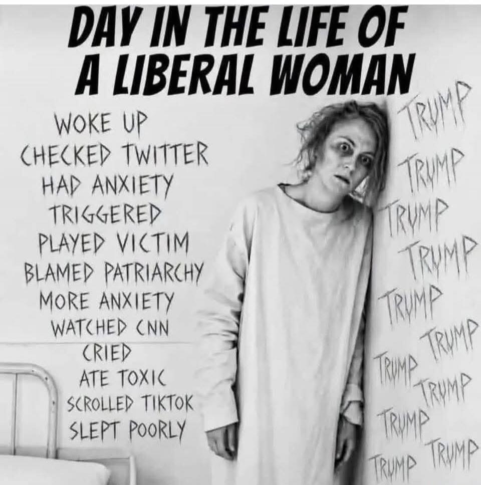 DAY IN THE LIFE OF A LIBERAL WOMAN WOKE UP CHECKED TWITTER HAD ANXIETY TRIGGERED PLAYED VICTIM BLAMED PATRIARCHY MORE ANXIETY WATCHED CNN CRIED ATE TOXIC SCROLLED TIKTOK SLEPT POORLY TRUMP TRUMP TRUMP TRUMP TRUMP TRUMP TRUMP TRUMP