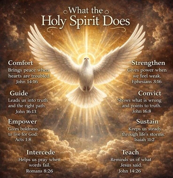 What the Holy Spirit Does Comfort Brings peace when hearts are troubled. John 14:16 Guide Leads us into truth and the right path. John 16:13 Empower Gives boldness to live for God. Acts 1:8 Intercede Helps us pray when words fail. Romans 8:26 Strengthen Gives power when we feel weak. Ephesians 3:16 Convict Shows what is wrong and points to truth. J
