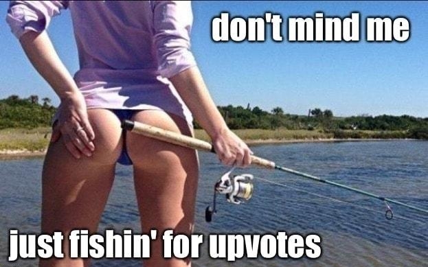 LY e justfishin for upvotes