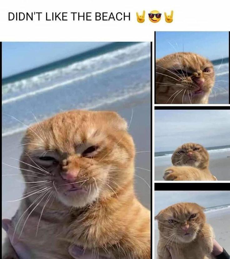DIDNT LIKE THE BEACH g 2