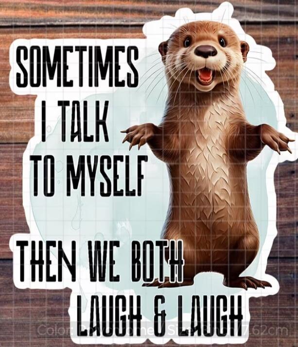 SOMETIMES I TALK TO MYSELF THEN WE BOTH LAUGH & LAUGH