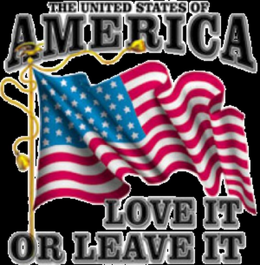 THE UNITED STATES OF AMERICA
LOVE IT OR LEAVE IT