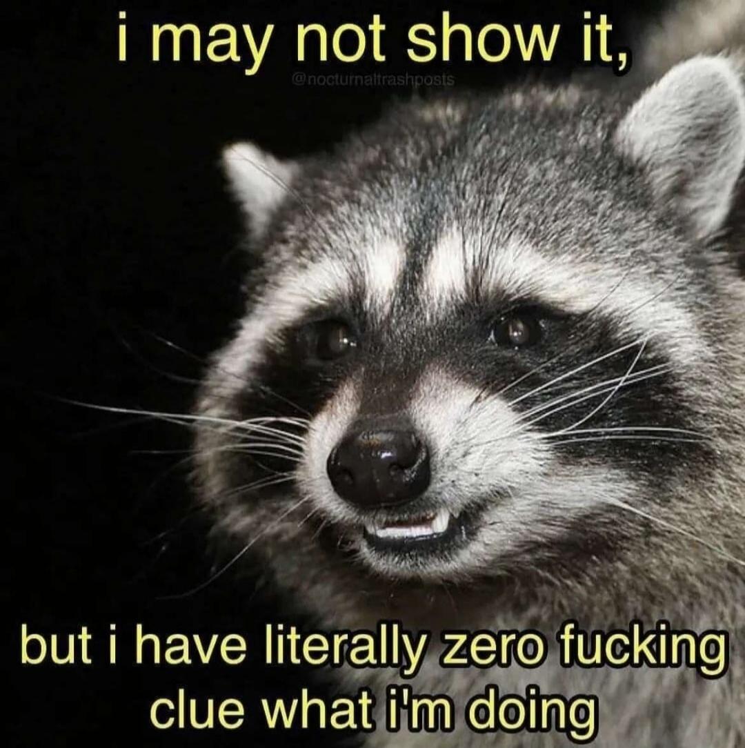 i may not show it, but i have literally zero fucking clue what i'm doing