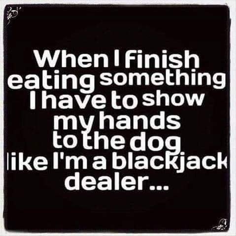 When Finish eating something Ihave toshow WA EL S o hedog_ TCIHNELIEEAET o F g