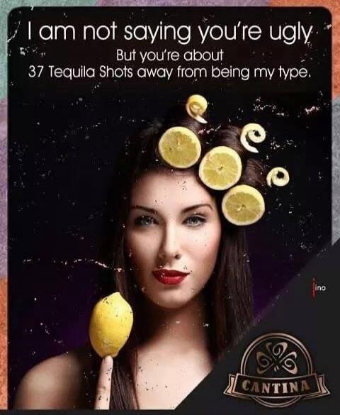 I am not saying you're ugly But you're about 37 Tequila Shots away from being my type.