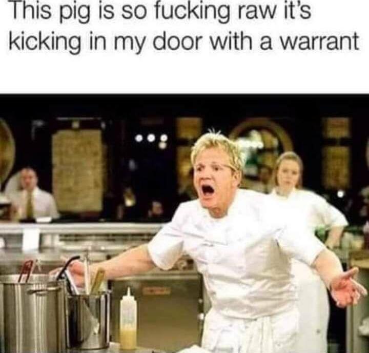 This pig Is so fucking raw its kicking in my door with a warrant