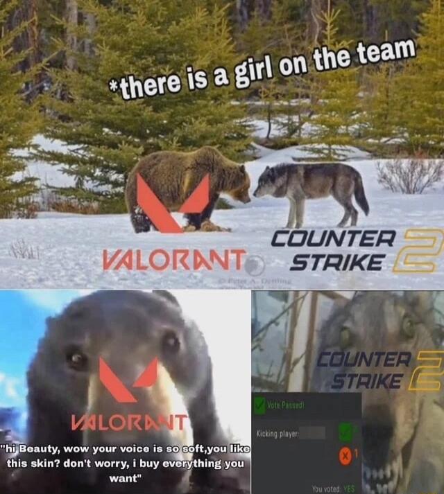 COUNTER VALORDNT sSTRIKE