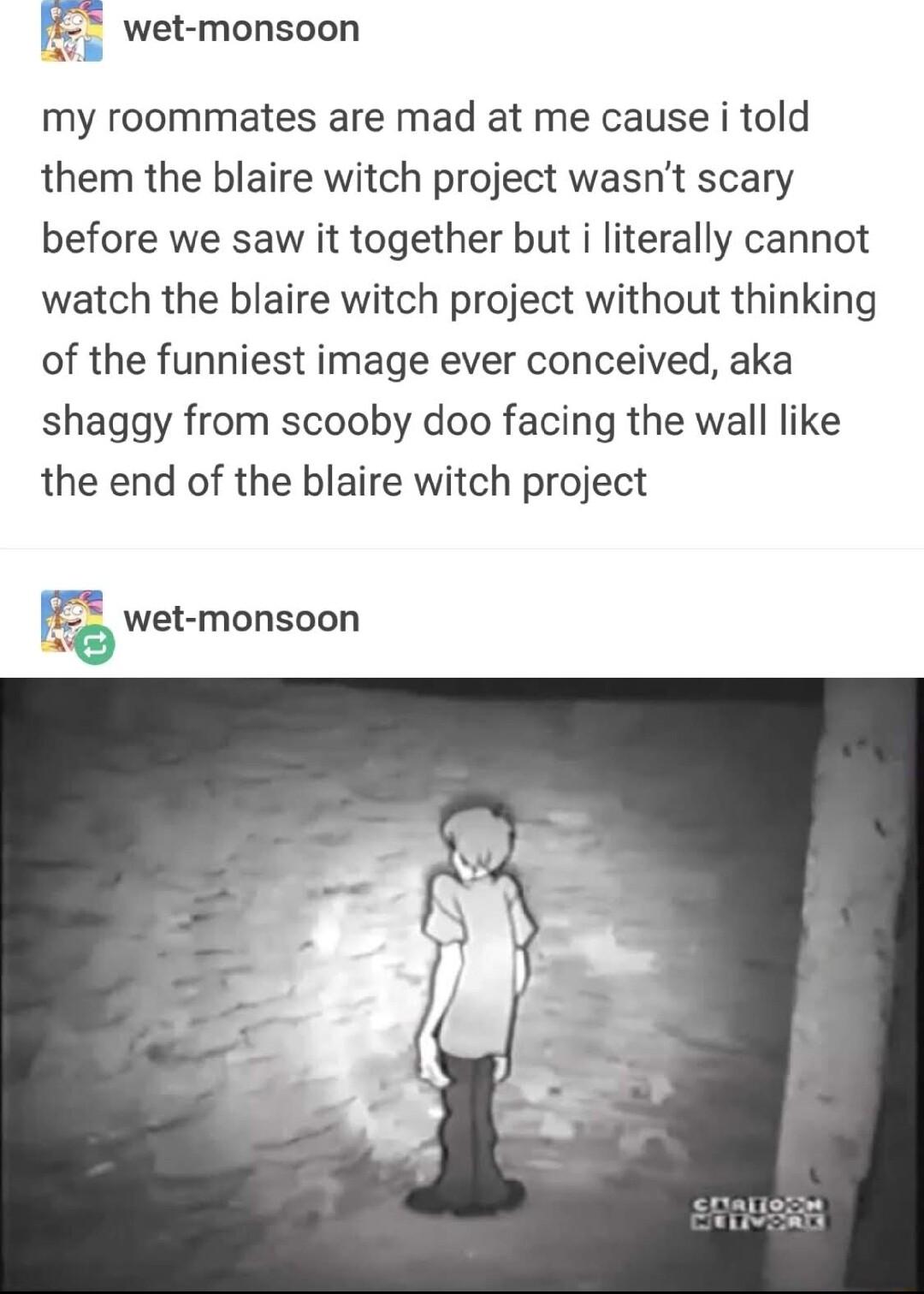 F wet monsoon my roommates are mad at me cause i told them the blaire witch project wasnt scary before we saw it together but i literally cannot watch the blaire witch project without thinking of the funniest image ever conceived aka shaggy from scooby doo facing the wall like the end of the blaire witch project wet monsoon B
