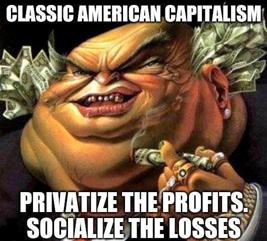 CLASSIC AMERICAN AIIIAlISM JA PRIVATIZE IIIEPIIIIFIIS SOCIALIZE THE LOSSES