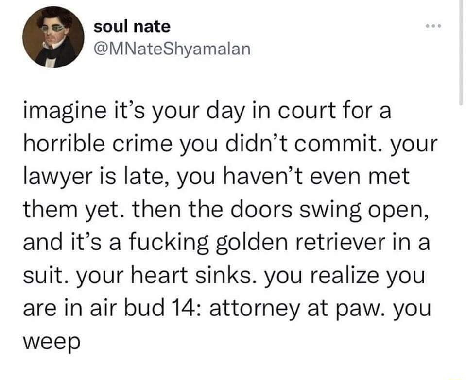 soul nate MNateShyamalan imagine its your day in court for a horrible crime you didnt commit your lawyer is late you havent even met them yet then the doors swing open and its a fucking golden retriever in a suit your heart sinks you realize you are in air bud 14 attorney at paw you weep