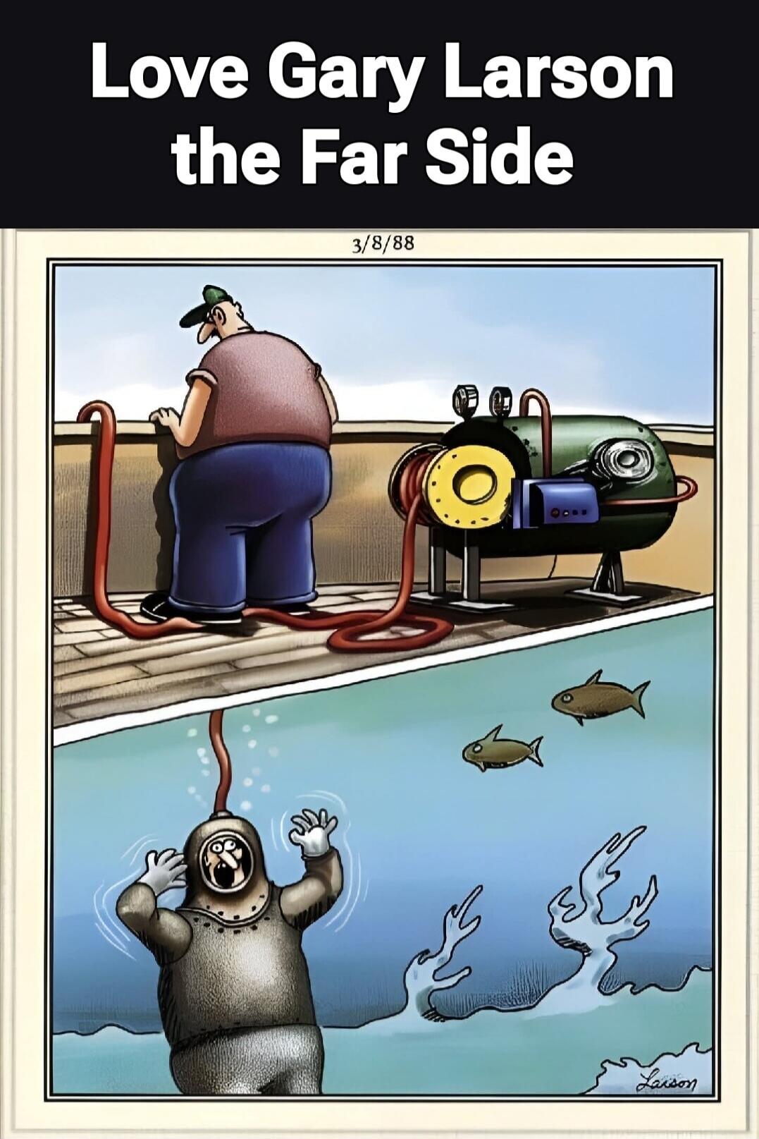 Love Gary Larson the Far Side. 3/8/88. A man on a roof is operating a pump connected by a hose to a diver underwater. The diver appears to be in distress as water is being pumped into his helmet, or his air supply is being replaced by water. Fish swim nearby.
